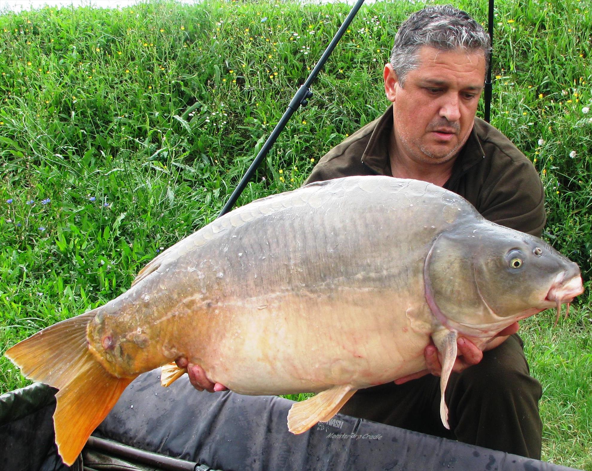 Balkan lake 19 - 26 septembrie 2015 - 196kg.JPG